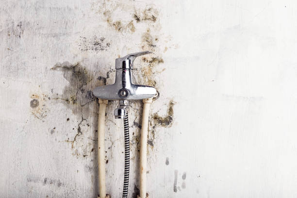 Best Water Damage Restoration  in Galva, KS