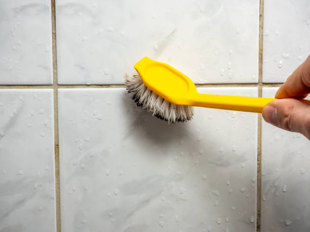 Best Mold Damage Repair  in Galva, KS
