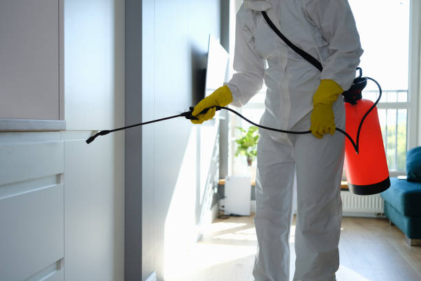 Best Mold Testing  in Galva, KS