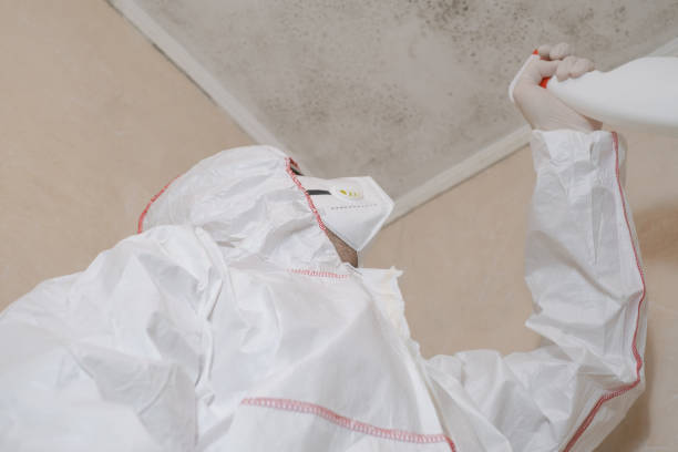 Best Toxic Mold Removal  in Galva, KS