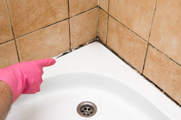 Best Certified Mold Removal  in Galva, KS